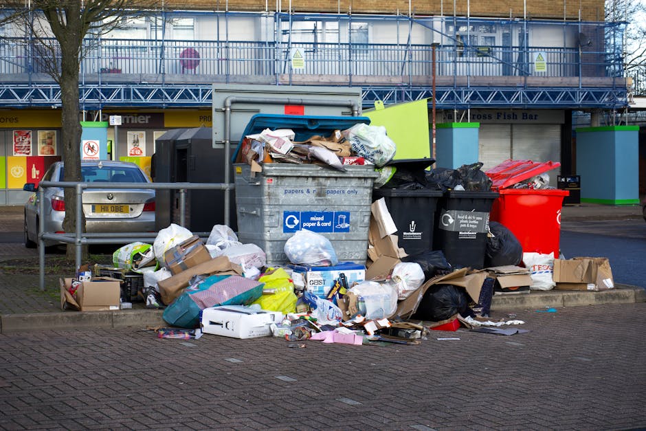 An overflowing collection of mixed waste and rubbish bags, including cardboard boxes, plastic bags, paper, and packaging materials, piled around and spilling out of several large outdoor bins on a paved street. The bins include a grey bin designated for mixed paper and cards, a black recycling bin, and a red general waste bin, all positioned on the edge of a sidewalk. In the background, there is a building with a blue metal construction scaffold, and storefronts with signage, partially obscured by the bins and autumnal trees with bare branches. A parked silver car is visible behind a metal railing on the left side of the image. The scene is lit with natural daylight, highlighting the textured surfaces of the waste, bins, and surrounding environment, illustrating an apparent case of improper rubbish disposal which local waste removal services like those provided by rubbishclearancebelsizepark.co.uk often address through alternative waste handling options such as private collection or on-site clearance.